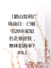 腊山复利广场项目：已吸引20余家知名企业进驻，整体招商率70%